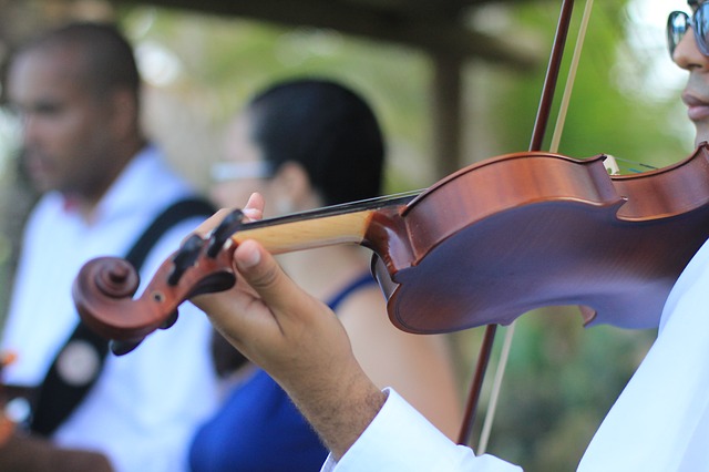 Wedding String Trios and Quartets