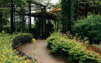 Tips for Saving on a Wedding Venue