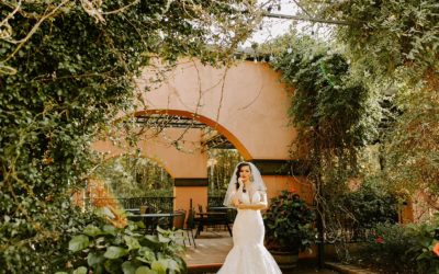 Smart Budget Tips for Molto Bella Brides